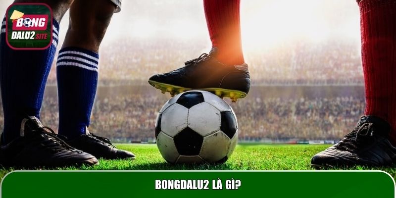 Bongdalu2 là gì?