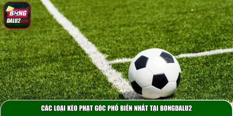 Các loại kèo phạt góc phổ biến nhất tại Bongdalu2