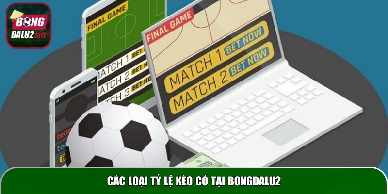 Các loại tỷ lệ kèo có tại Bongdalu2