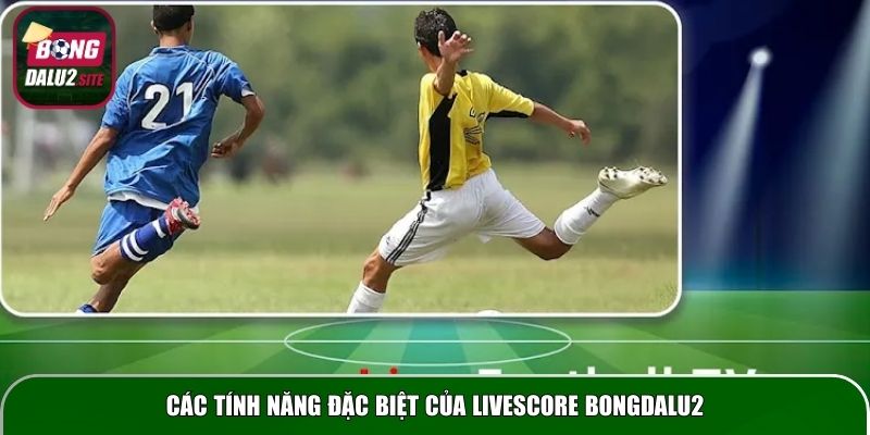 Các tính năng đặc biệt của Livescore Bongdalu2