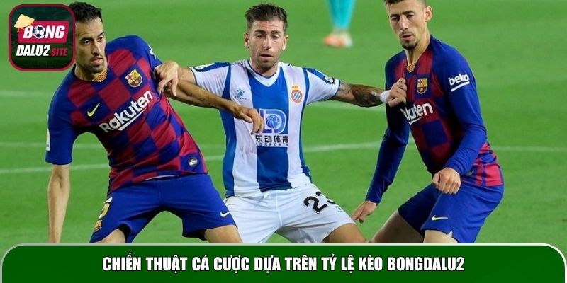 Chiến thuật cá cược dựa trên tỷ lệ kèo Bongdalu2