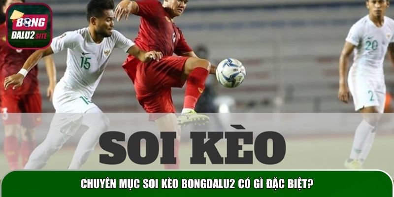 Chuyên mục soi kèo Bongdalu2 có gì đặc biệt?