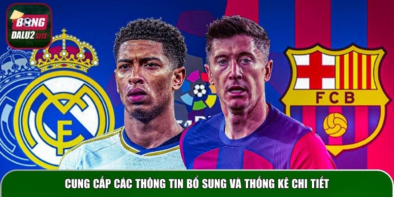 Cung cấp các thông tin bổ sung và thống kê chi tiết