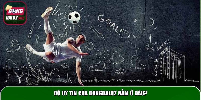 Độ uy tín của Bongdalu2 nằm ở đâu?