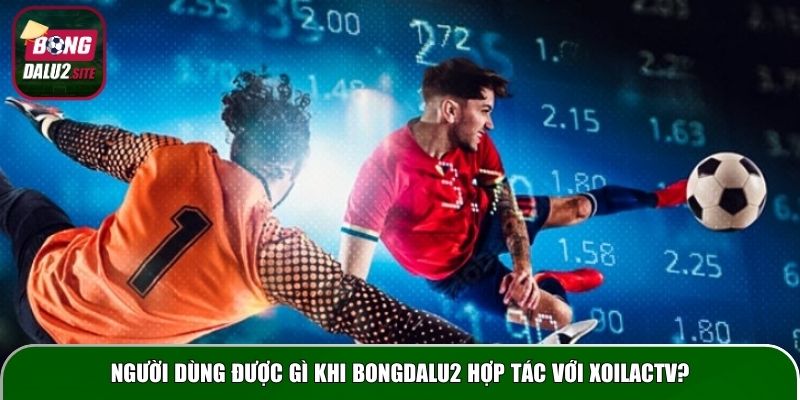 Người dùng được gì khi Bongdalu2 hợp tác với Xoilactv?