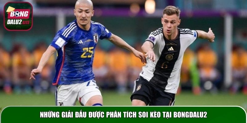 Những giải đấu được phân tích soi kèo tại Bongdalu2
