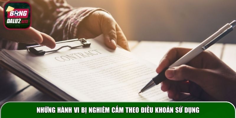 Những hành vi bị nghiêm cấm theo điều khoản sử dụng