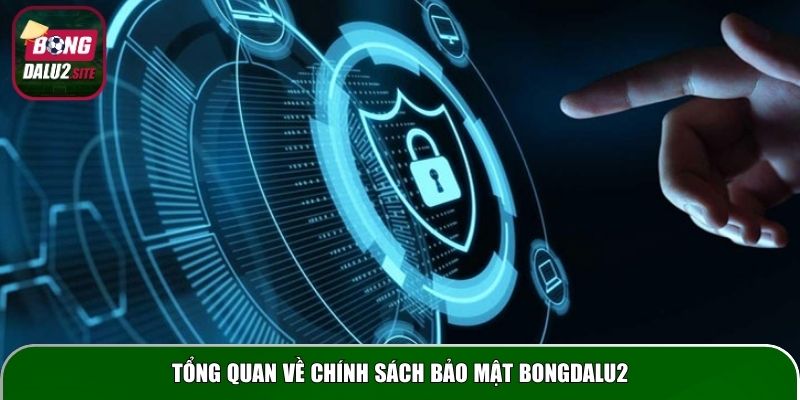 Tổng quan về chính sách bảo mật Bongdalu2