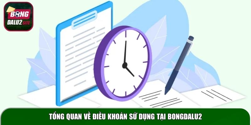 Tổng quan về điều khoản sử dụng tại Bongdalu2