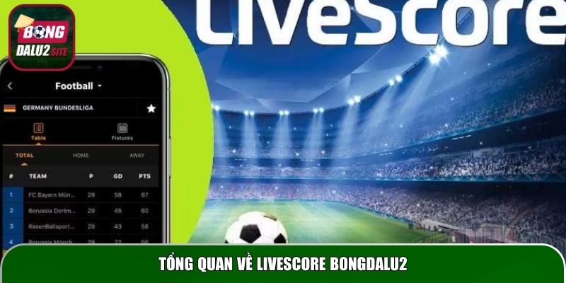 Tổng quan về Livescore Bongdalu2