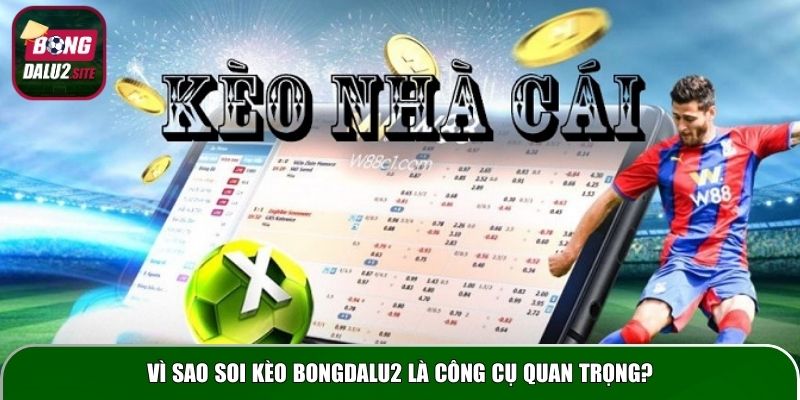 Vì sao soi kèo Bongdalu2 là công cụ quan trọng?