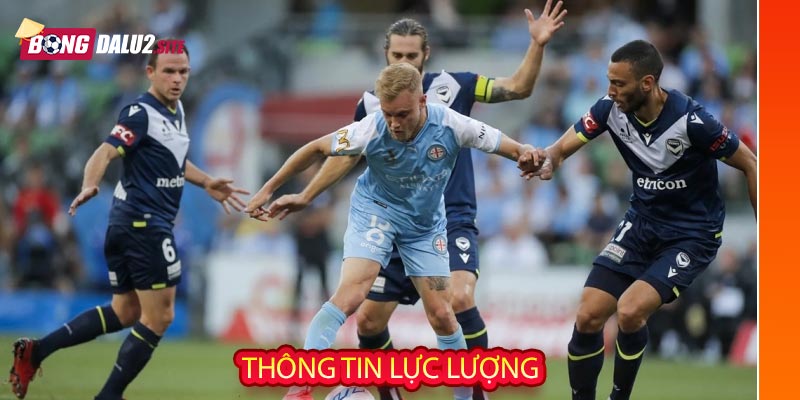 Thông tin lực lượng