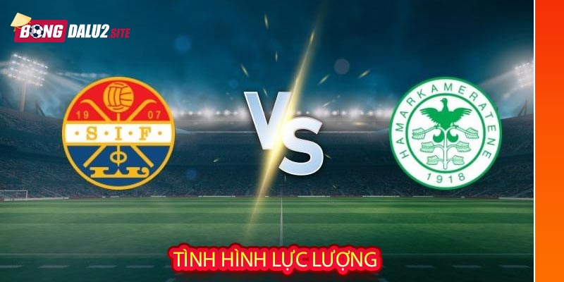 Tình hình lực lượng