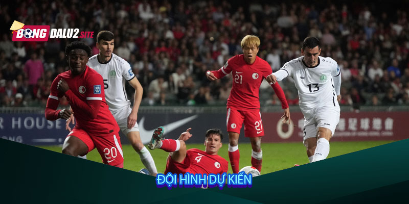 Đội hình dự kiến