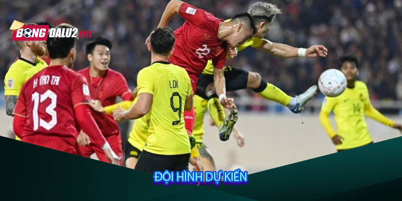 Đội hình dự kiến