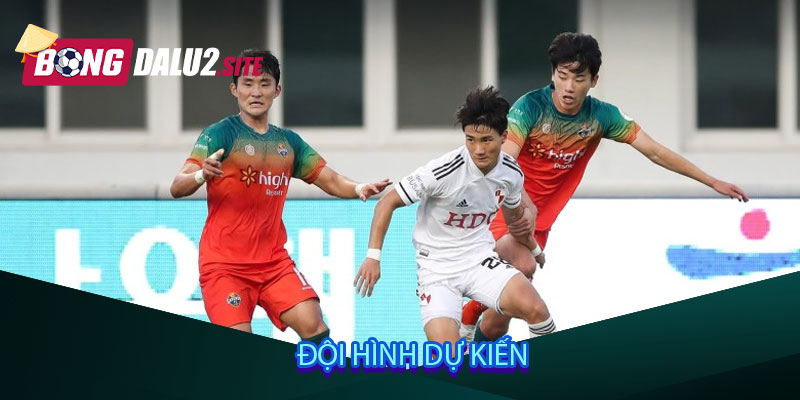 Đội hình dự kiến