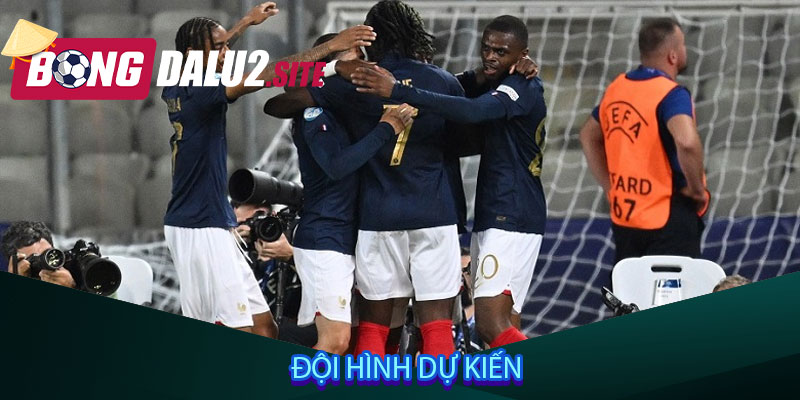 Đội hình dự kiến