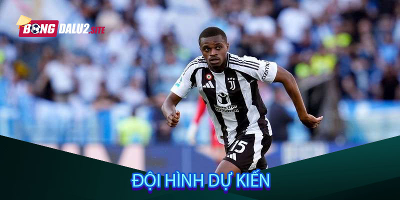 Đội hình dự kiến