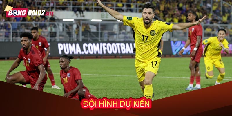 Đội hình dự kiến