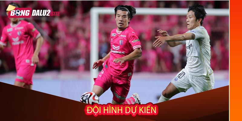 Đội hình dự kiến