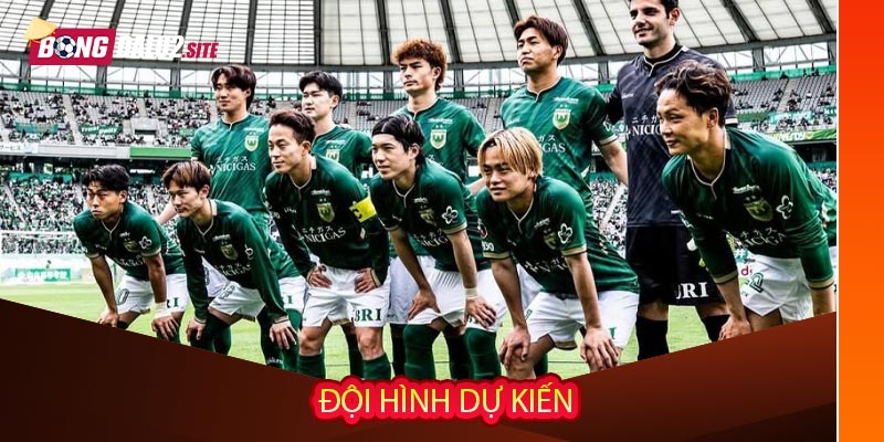 Đội hình dự kiến