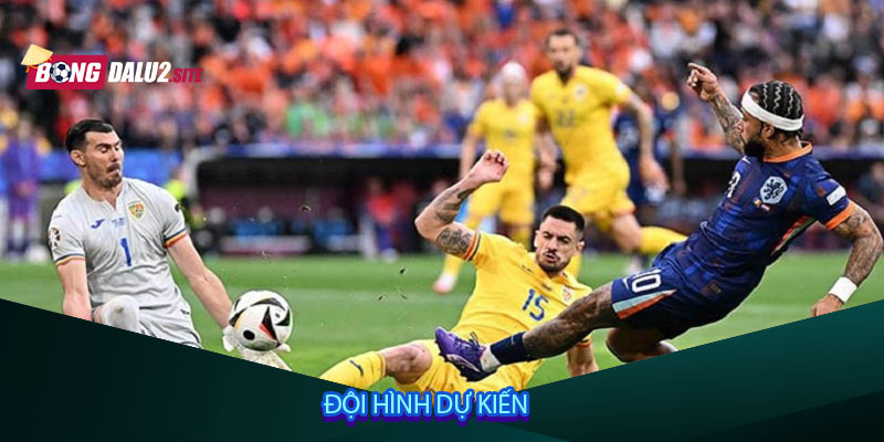 Đội hình dự kiến