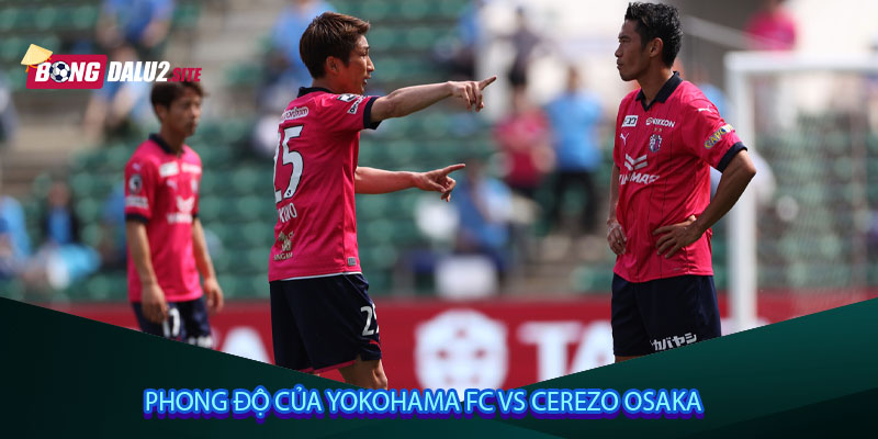 Phong độ của Yokohama FC vs Cerezo Osaka