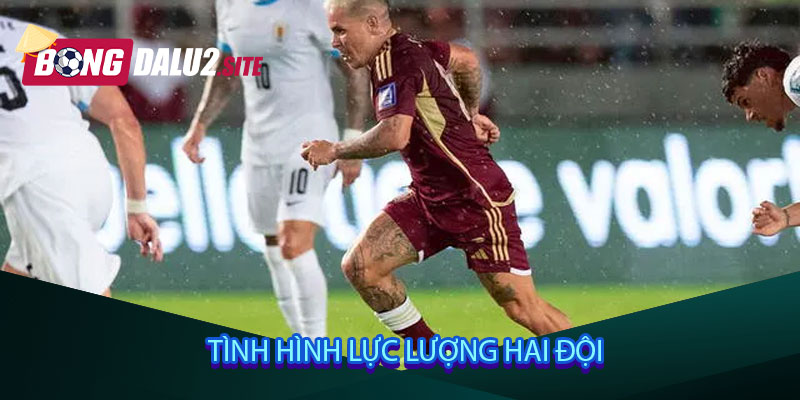 Tình hình lực lượng hai đội