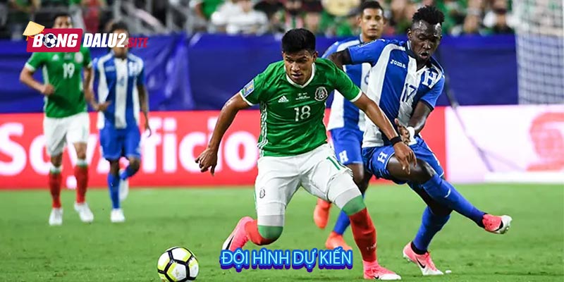 Đội hình dự kiến
